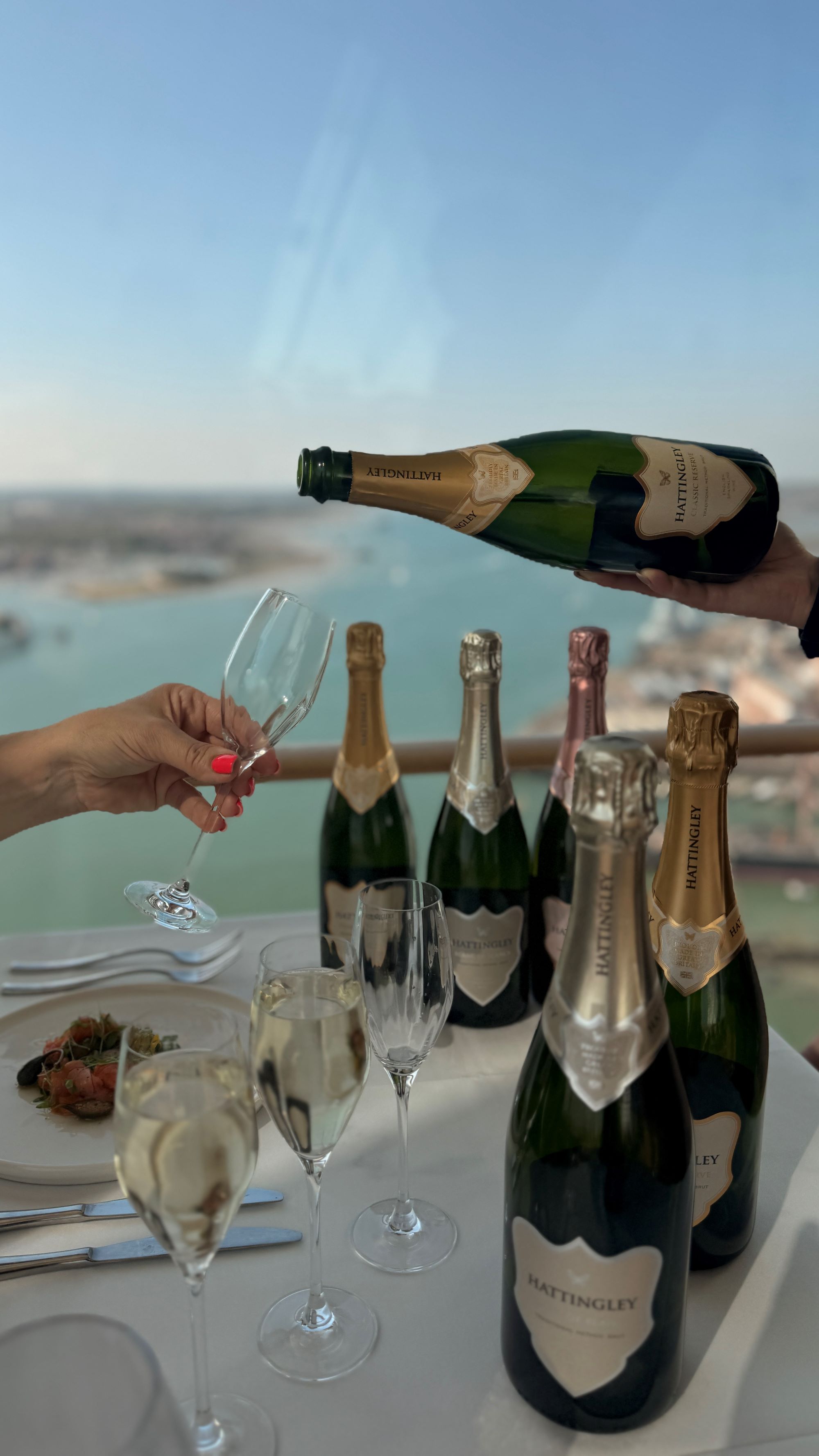 Vine To View Spinnaker Tower (1)