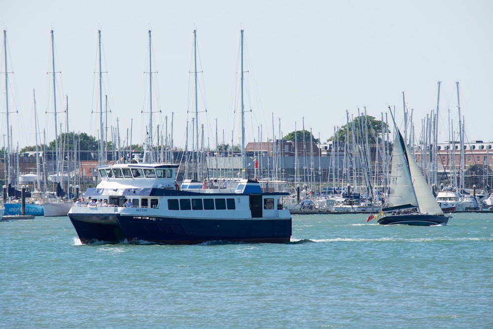 Ali Cat Cowes