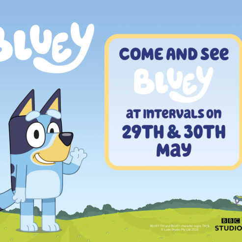 Bluey Meet and Greet